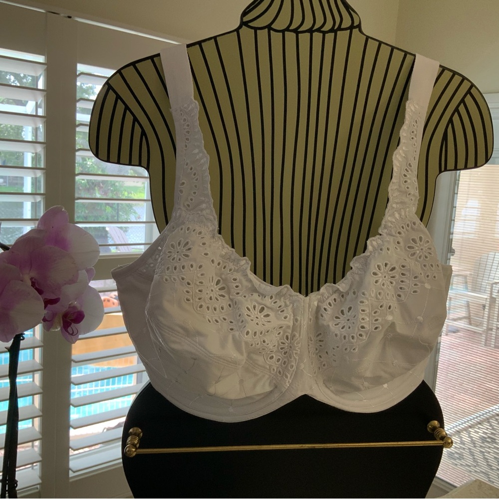 Beautiful bra by Modern